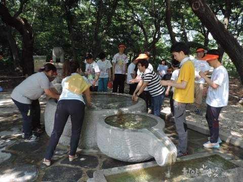 DSCN8803.JPG