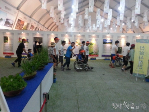 20140806_103323.jpg