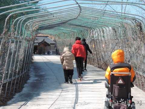 DSCN8749.JPG