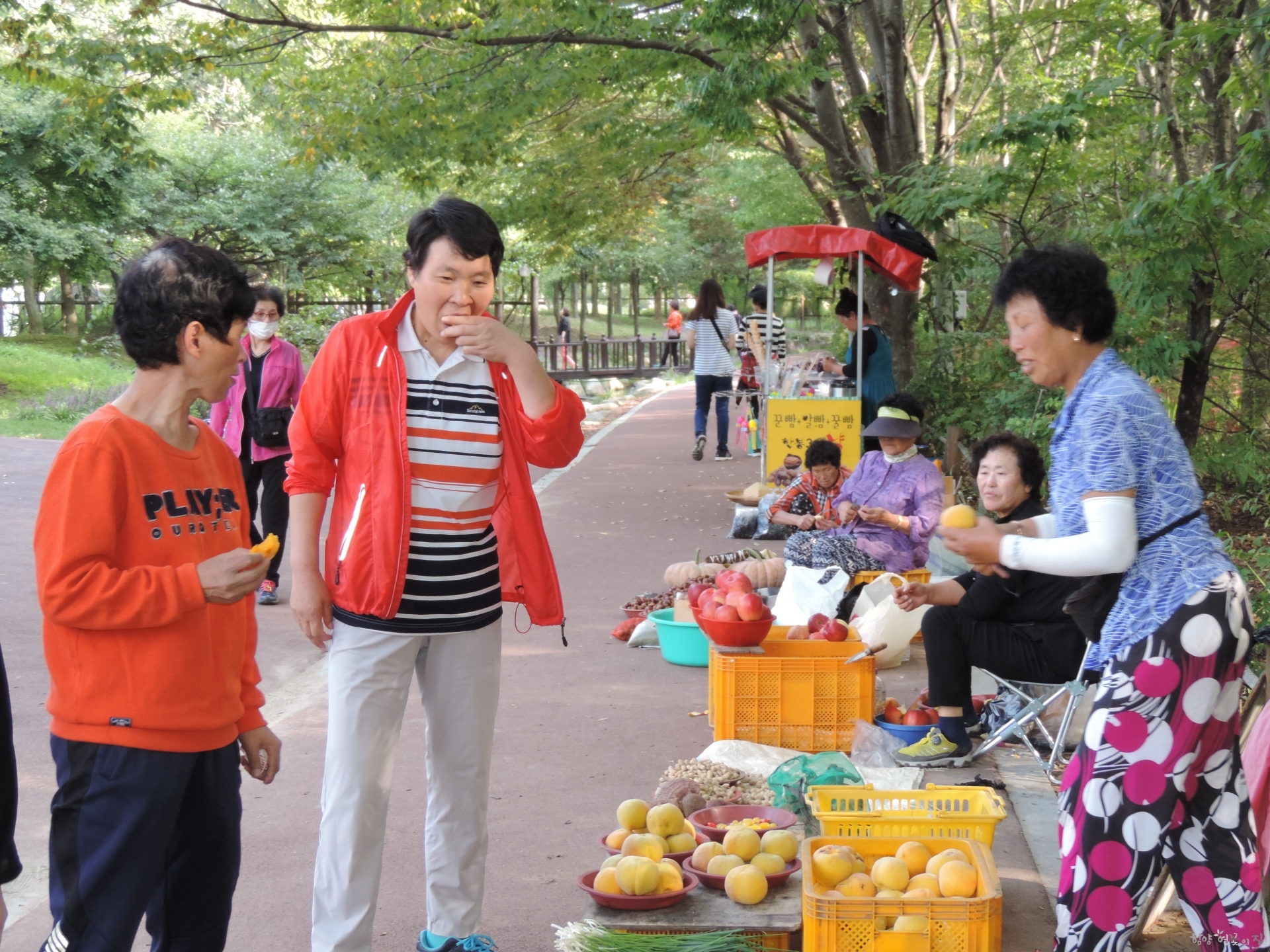 DSCN6511.JPG