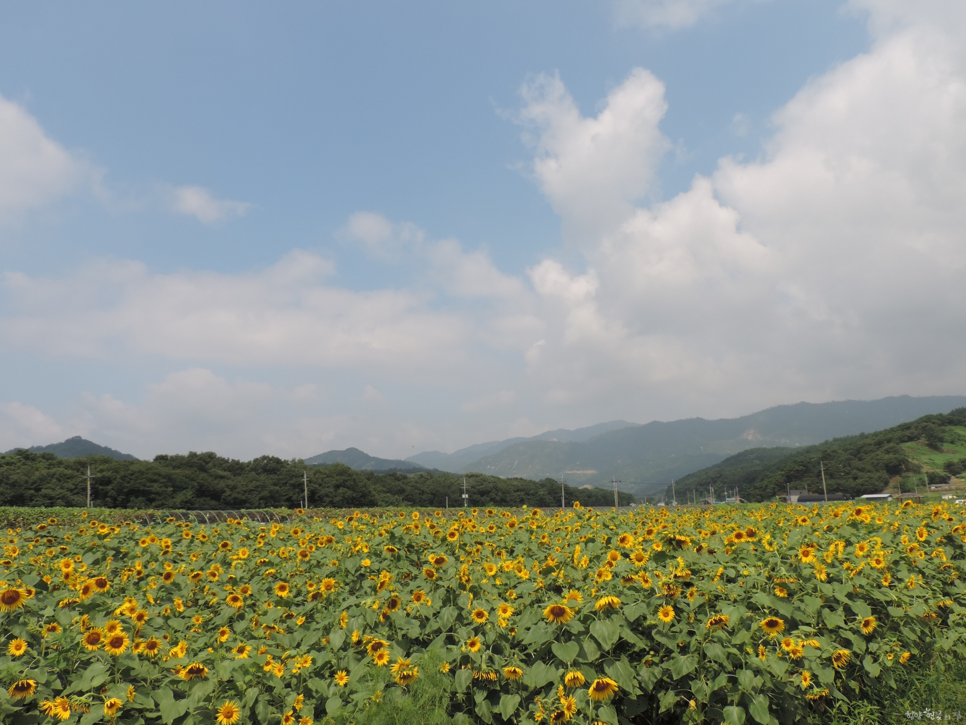 DSCN2504.JPG