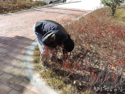 DSCN1660.JPG