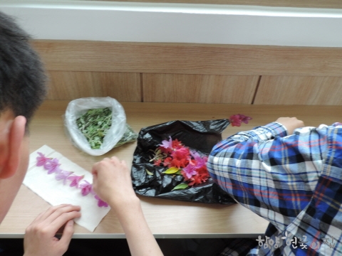 DSCN2487.JPG