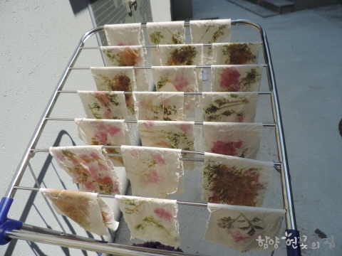 DSCN2543.JPG