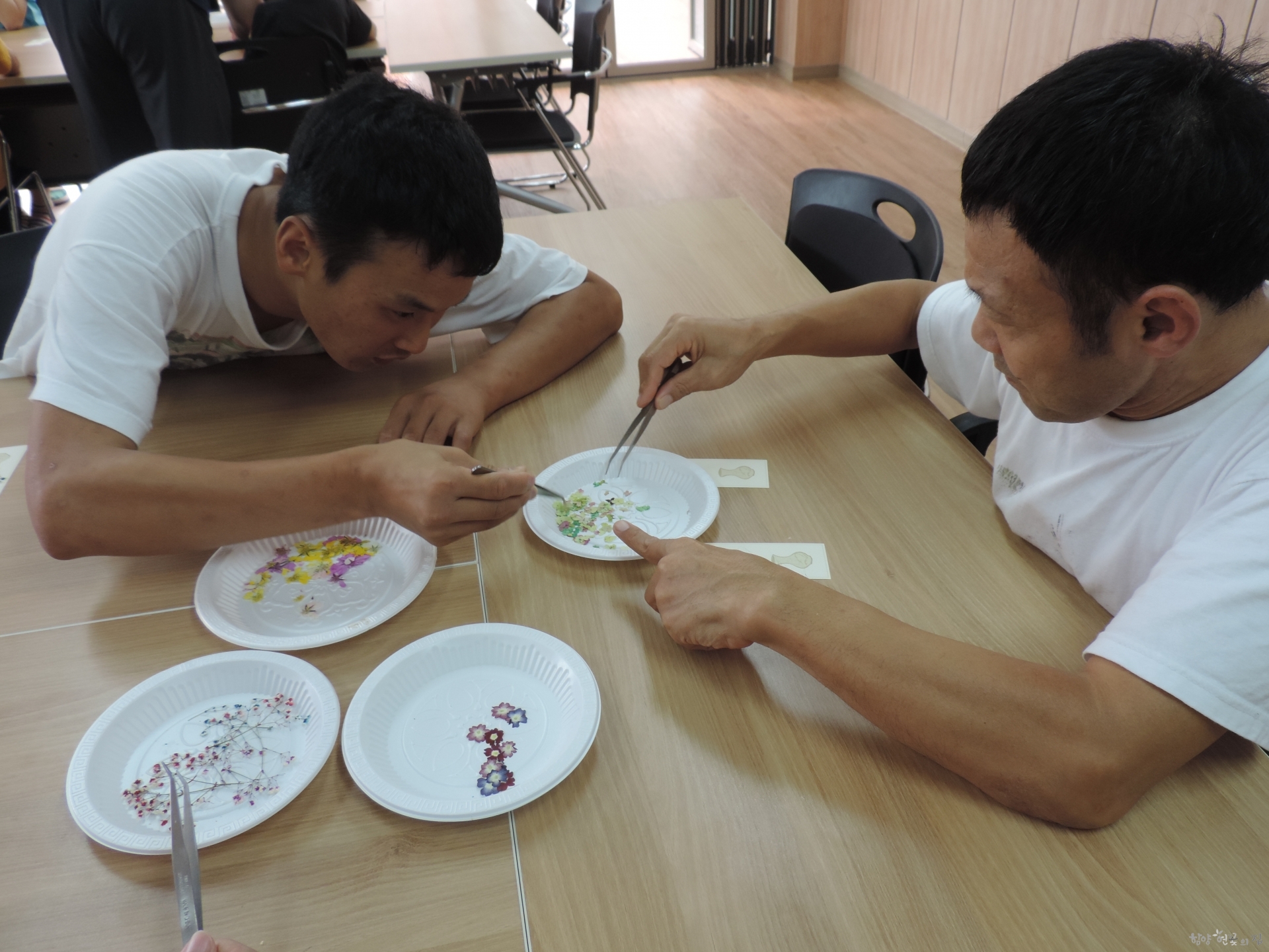 DSCN4149.JPG