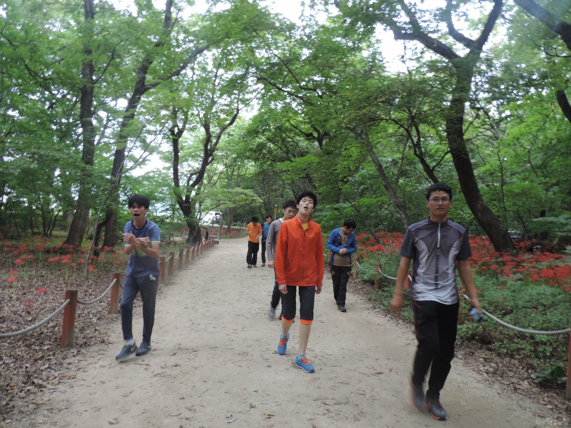 DSCN6831.JPG