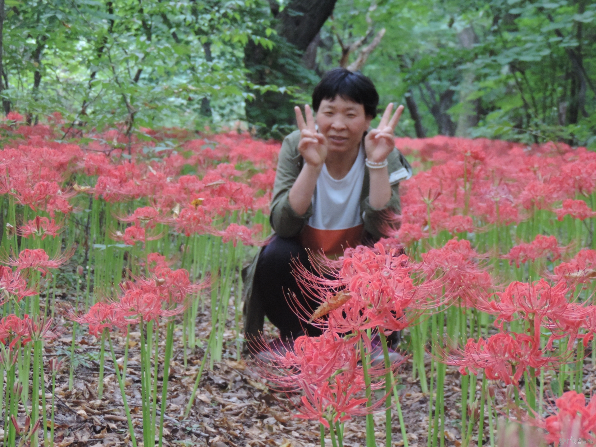 DSCN6817.JPG