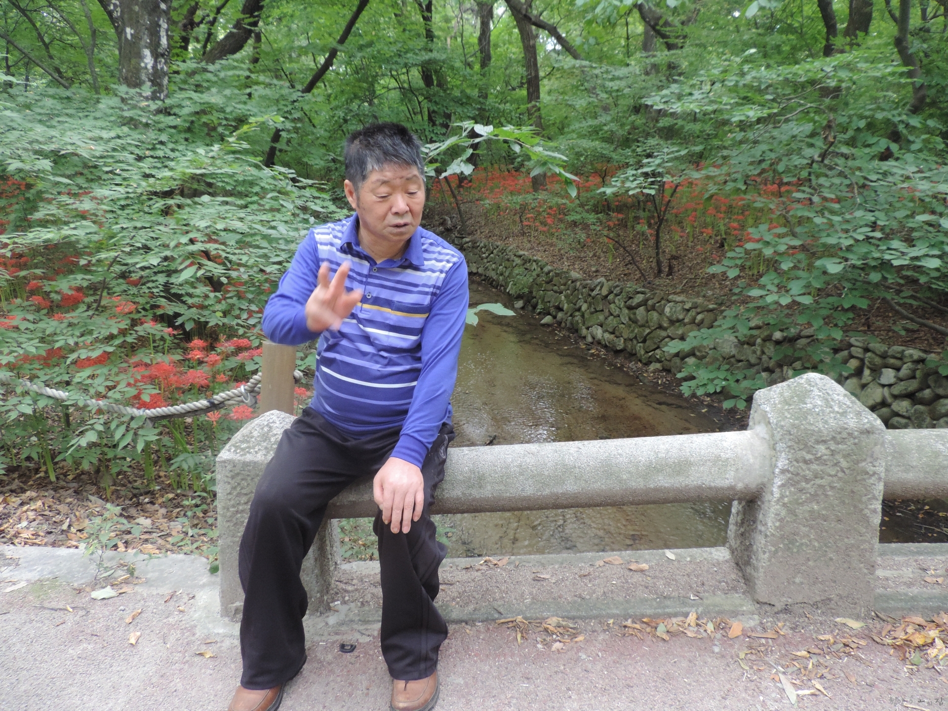 DSCN6827.JPG