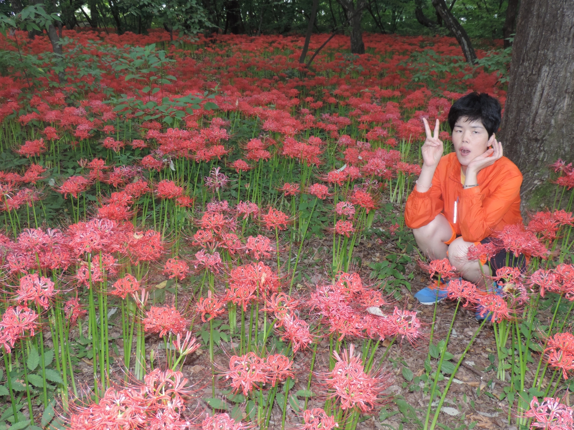 DSCN6812.JPG