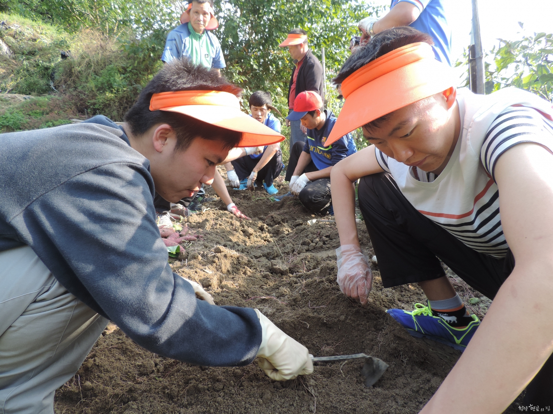 DSCN6398.JPG