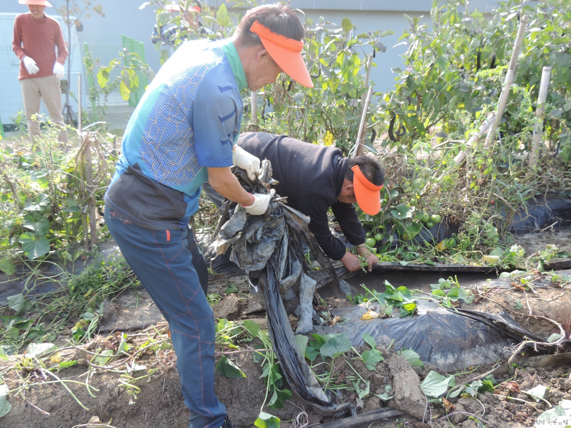 DSCN6326.JPG