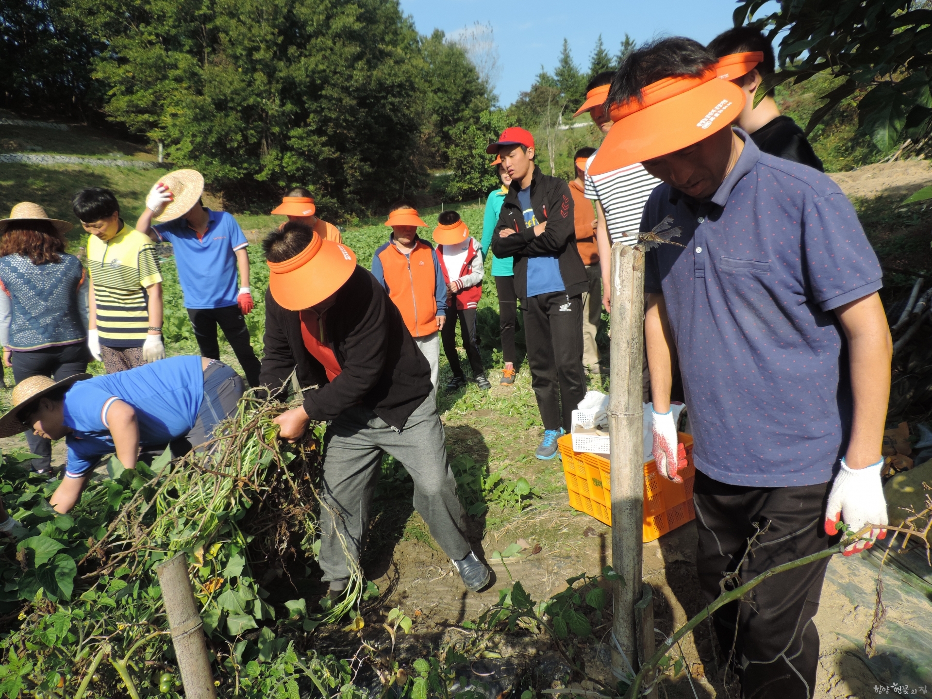DSCN6312.JPG