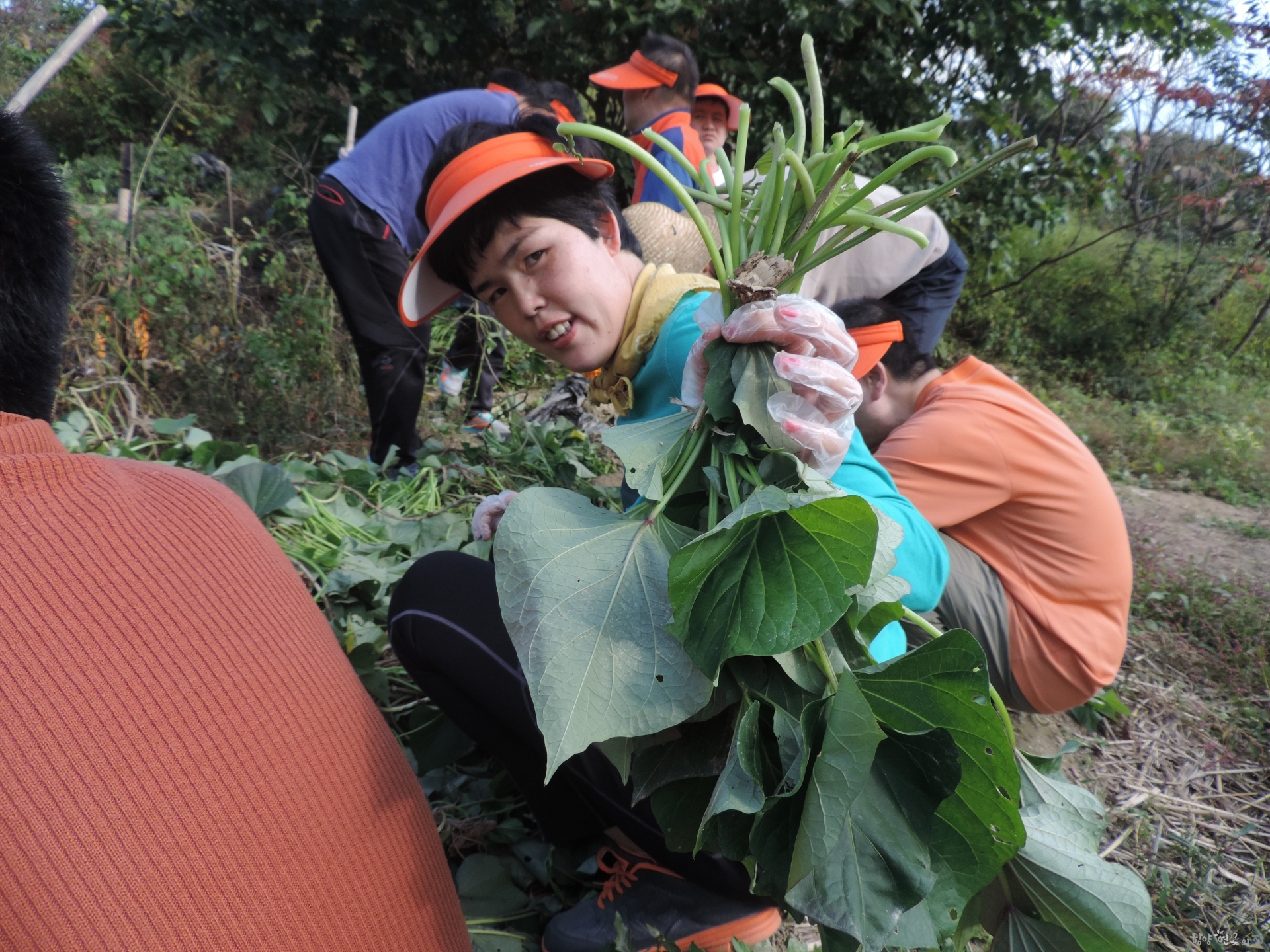 DSCN6367.JPG