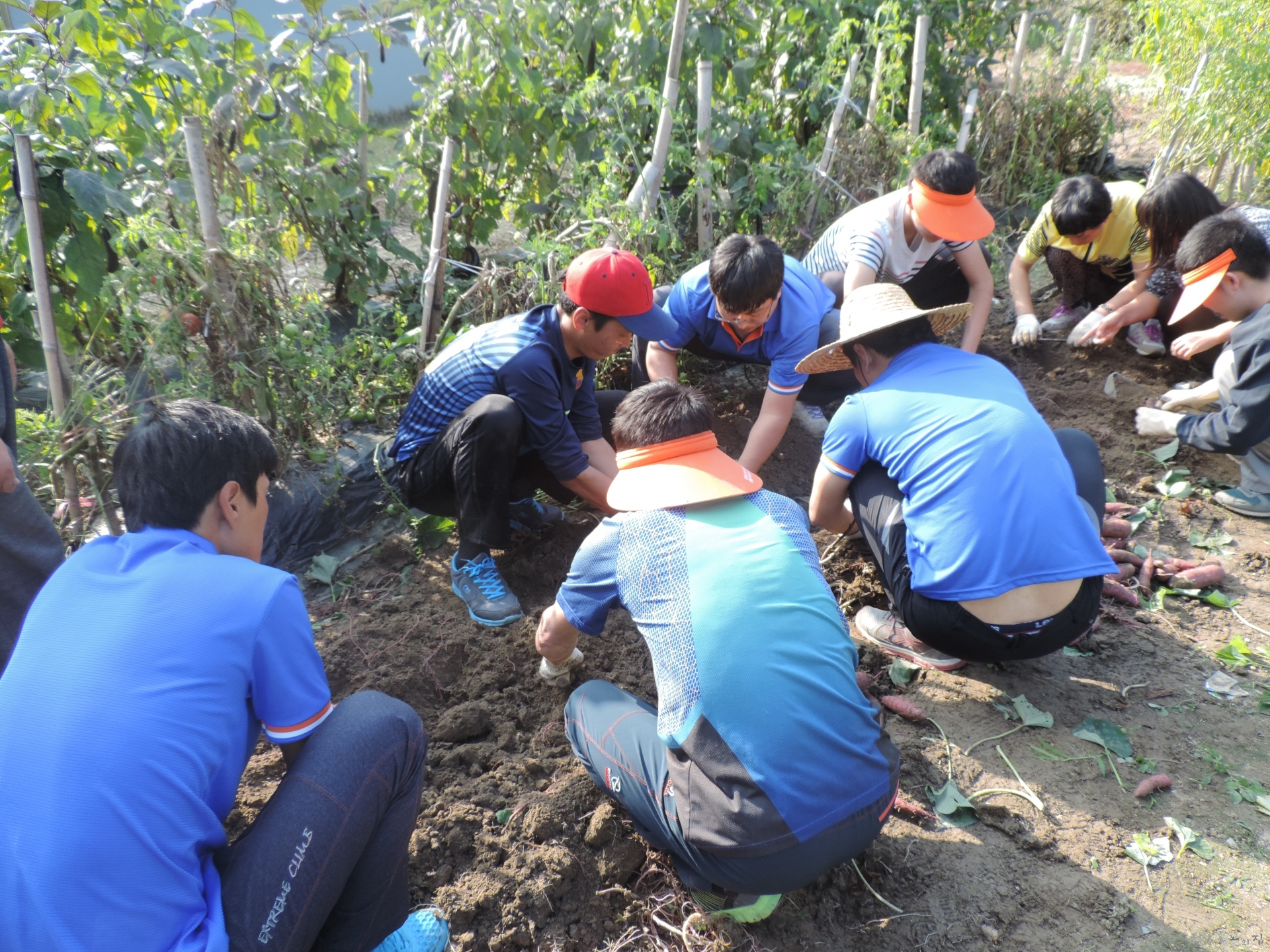 DSCN6391.JPG