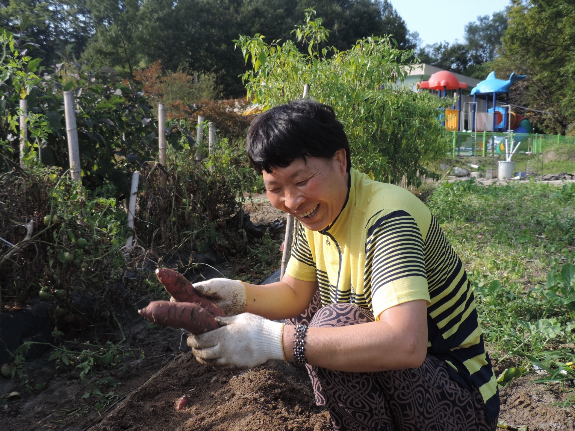 DSCN6355.JPG