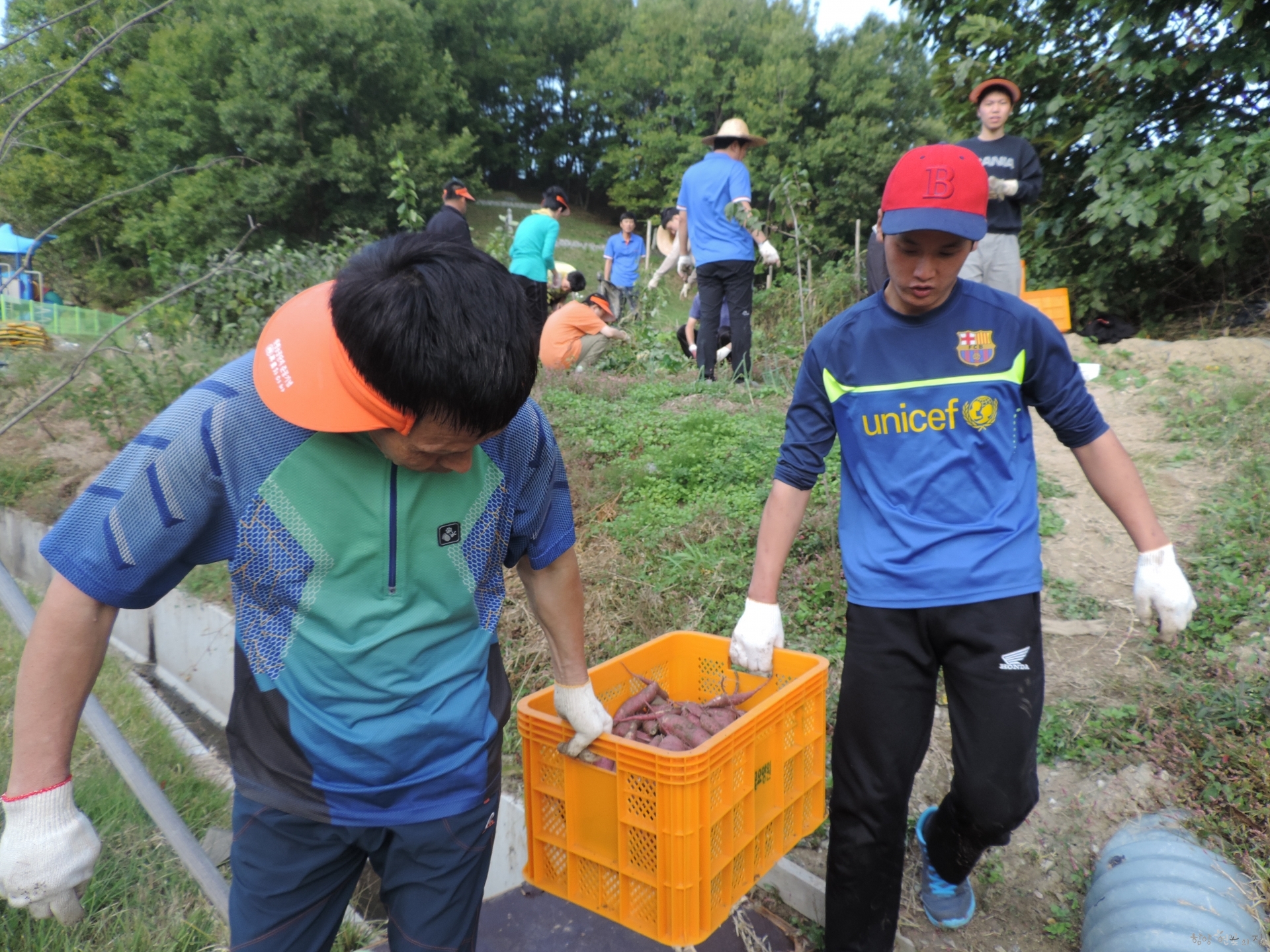 DSCN6422.JPG