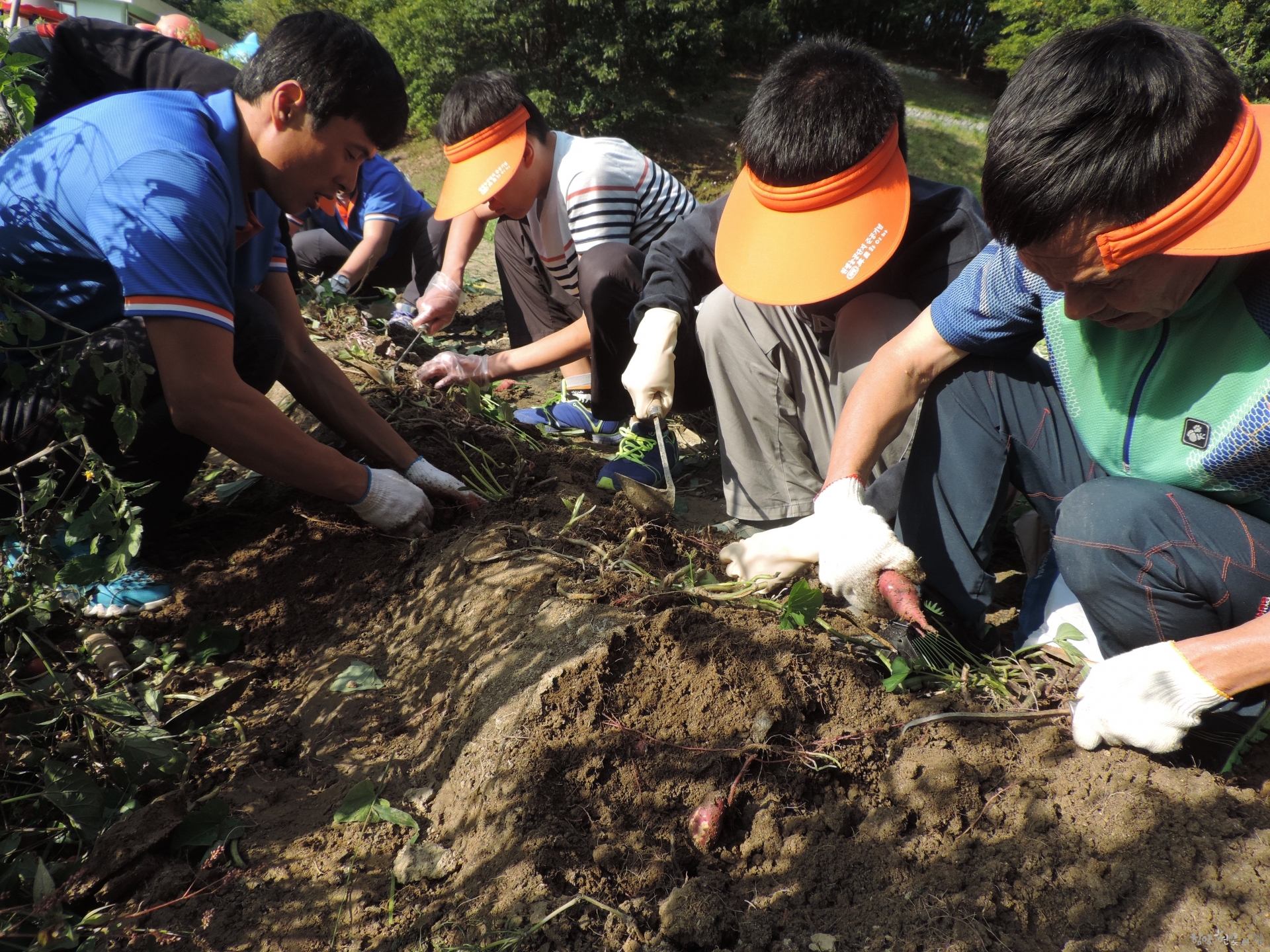 DSCN6337.JPG