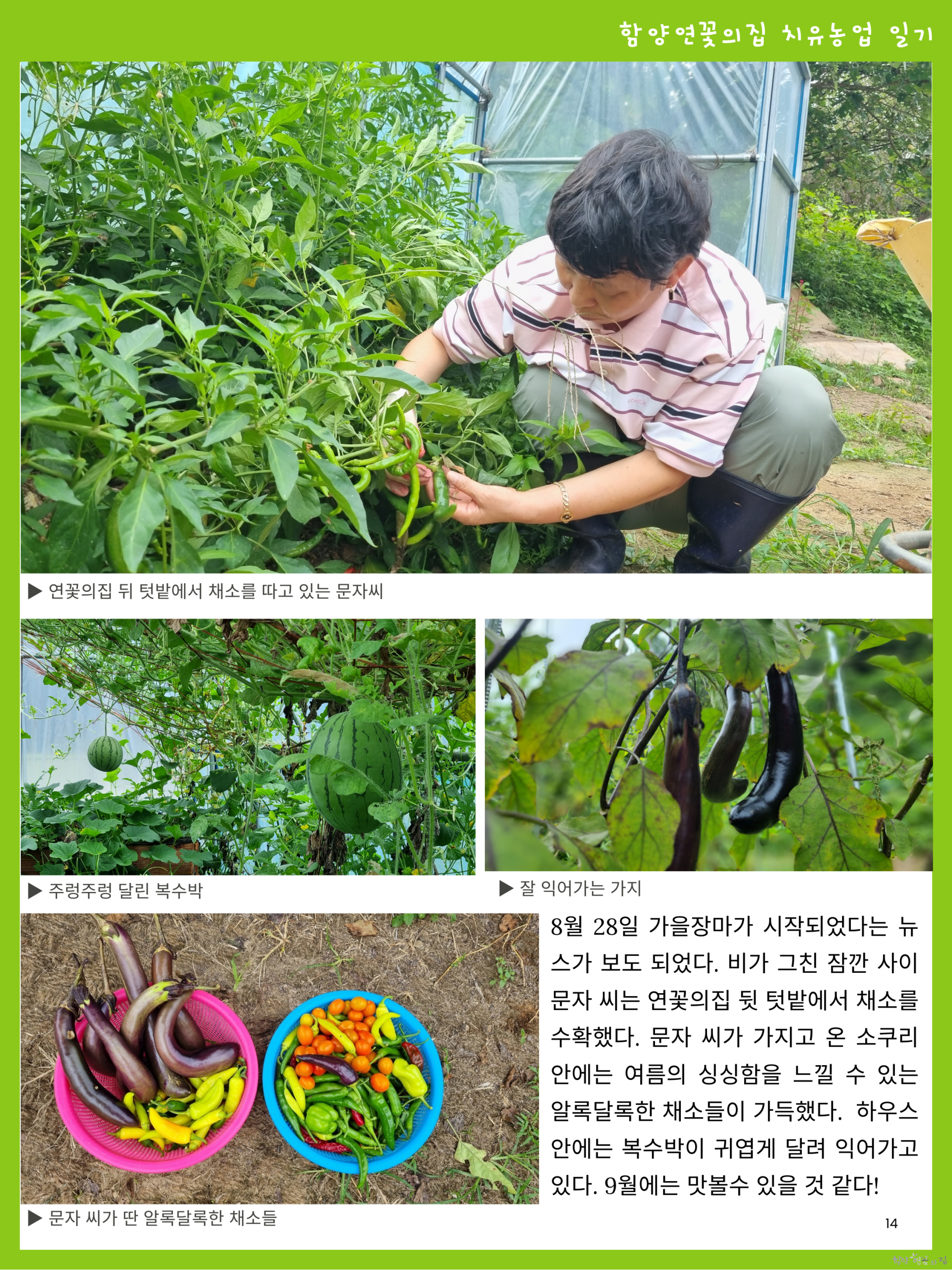 14. 농벤져스 정기 간행물 밭에서 놀다 마음을 짓다 여섯 번째 이야기 03.png