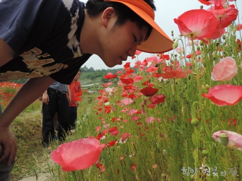 DSCN4927.JPG