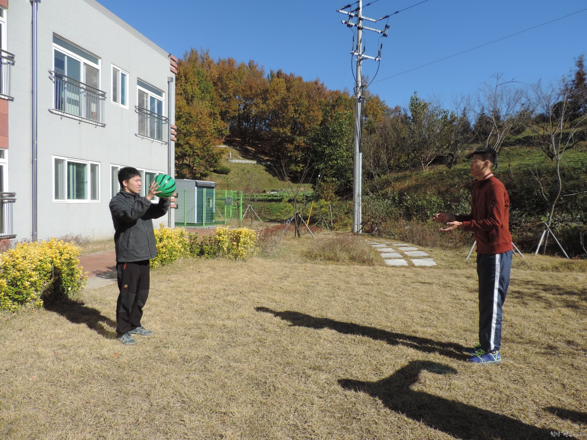 DSCN7866.JPG