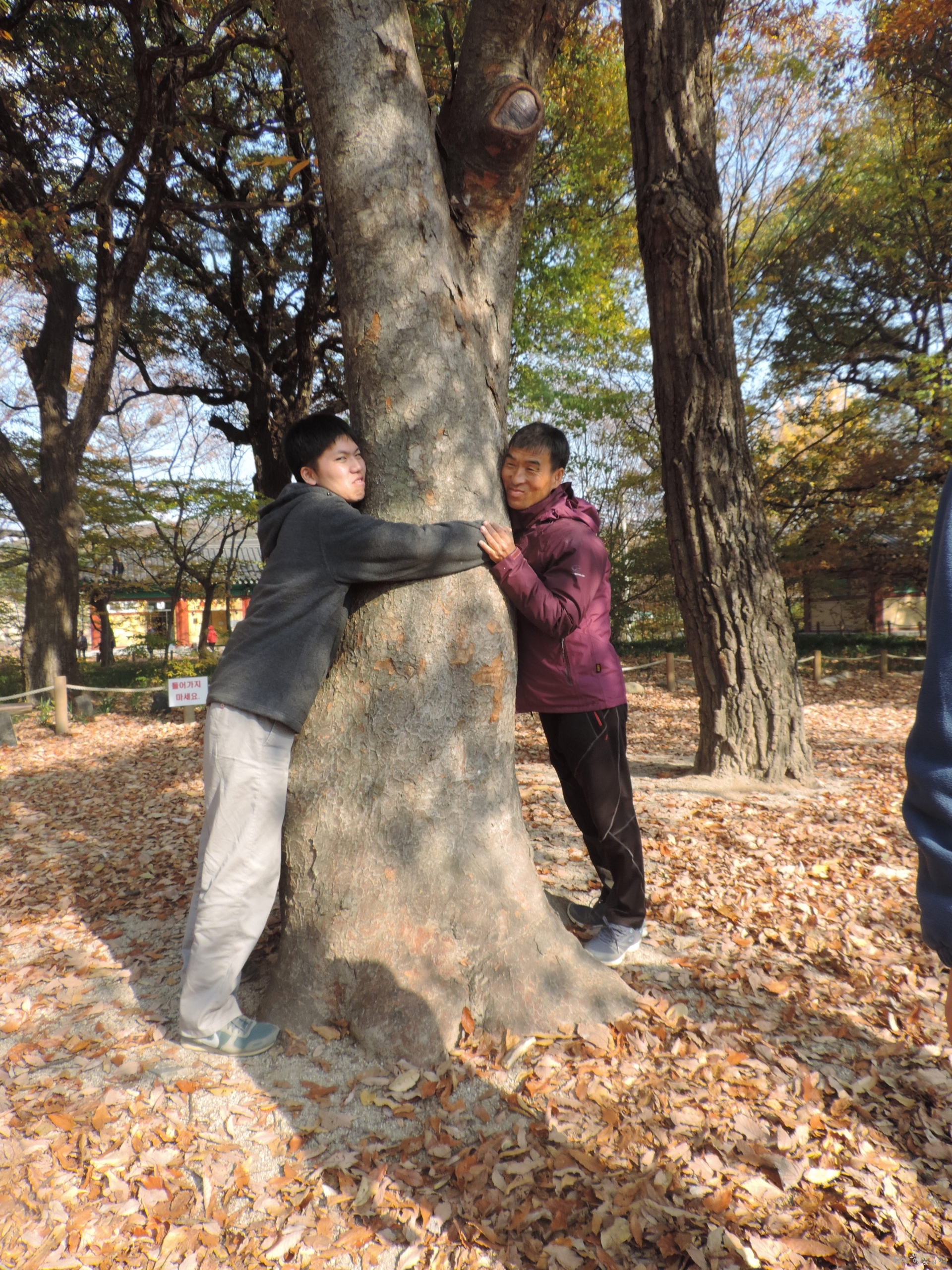 DSCN8270.JPG