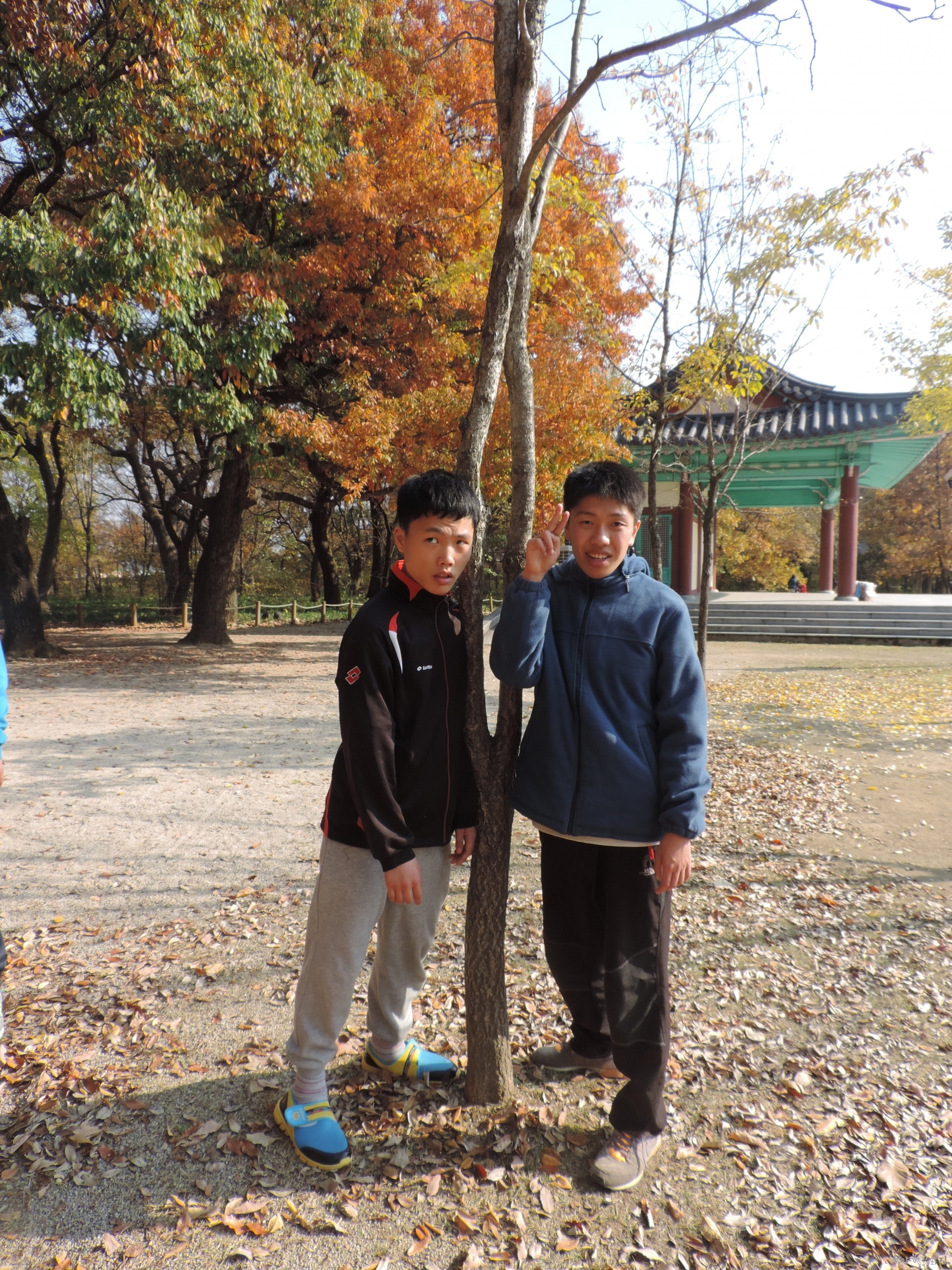DSCN8265.JPG