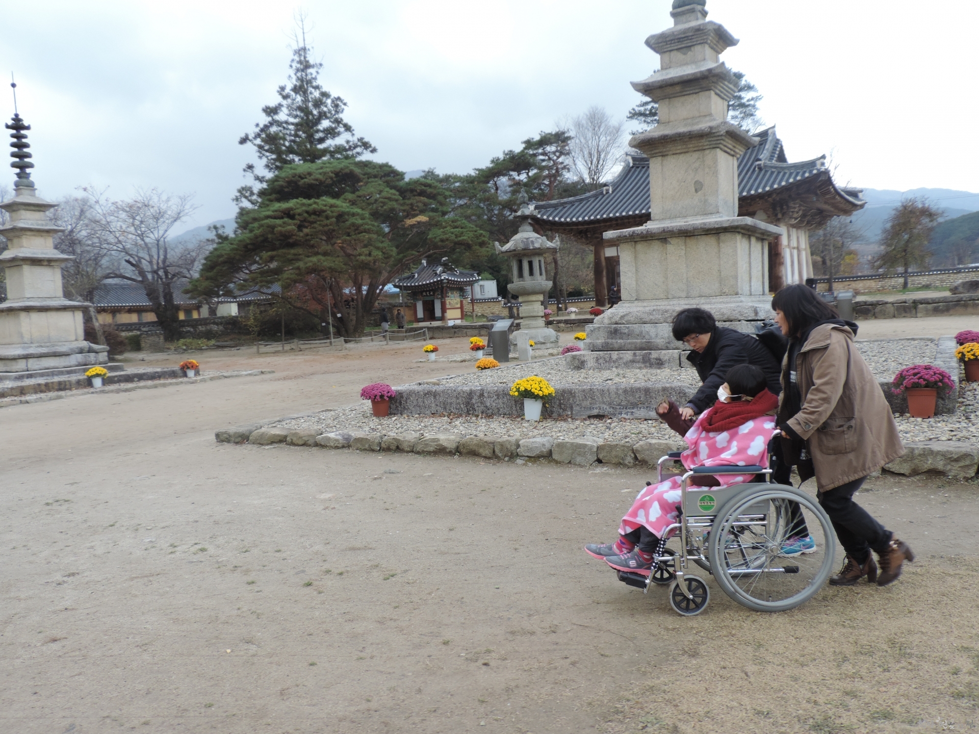 DSCN8651.JPG