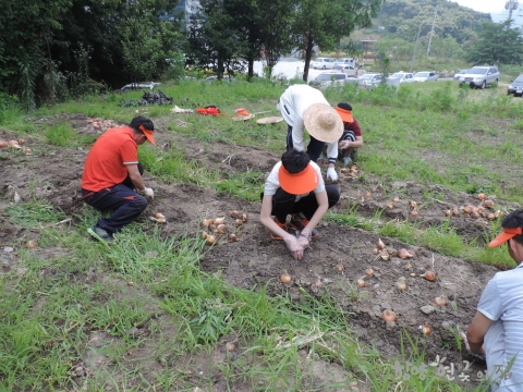 DSCN6605.JPG