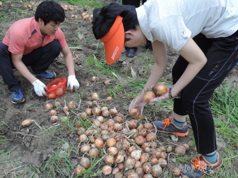 DSCN6631.JPG