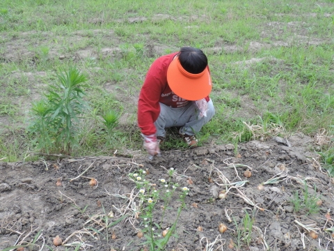 DSCN6597.JPG
