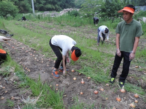 DSCN6590.JPG
