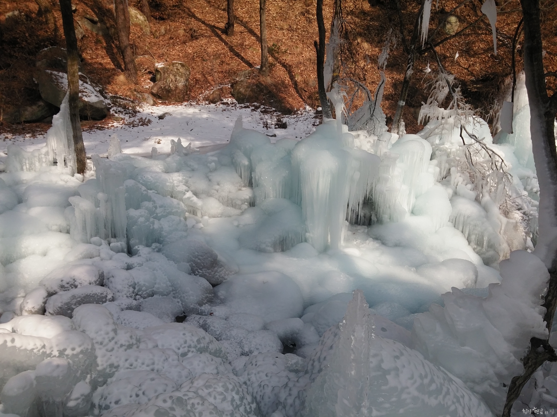 20160126_112511.jpg