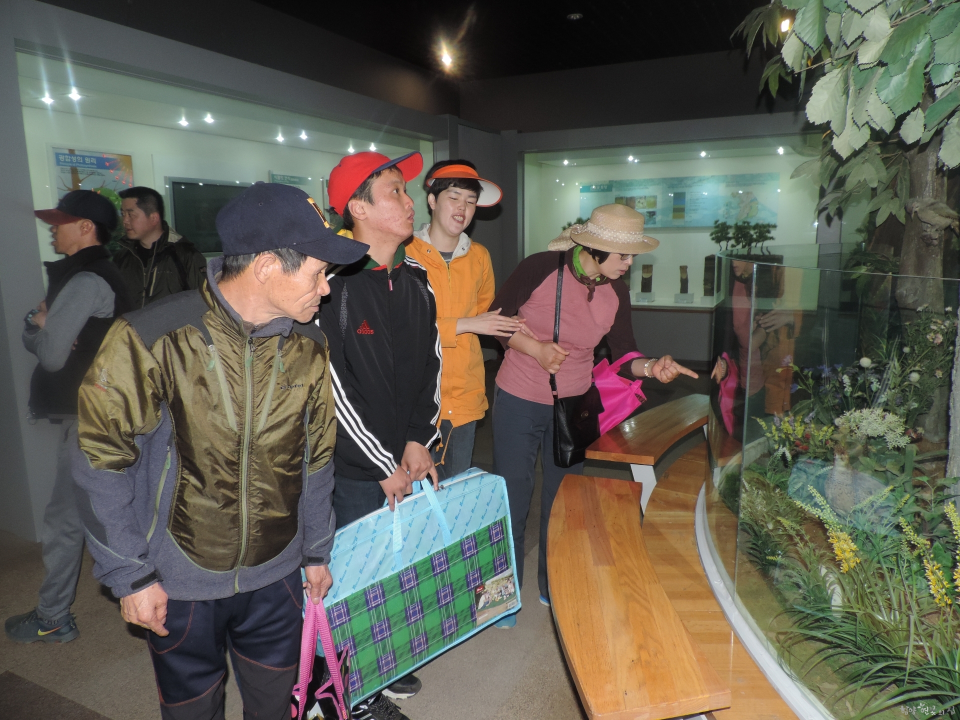 DSCN7179.JPG