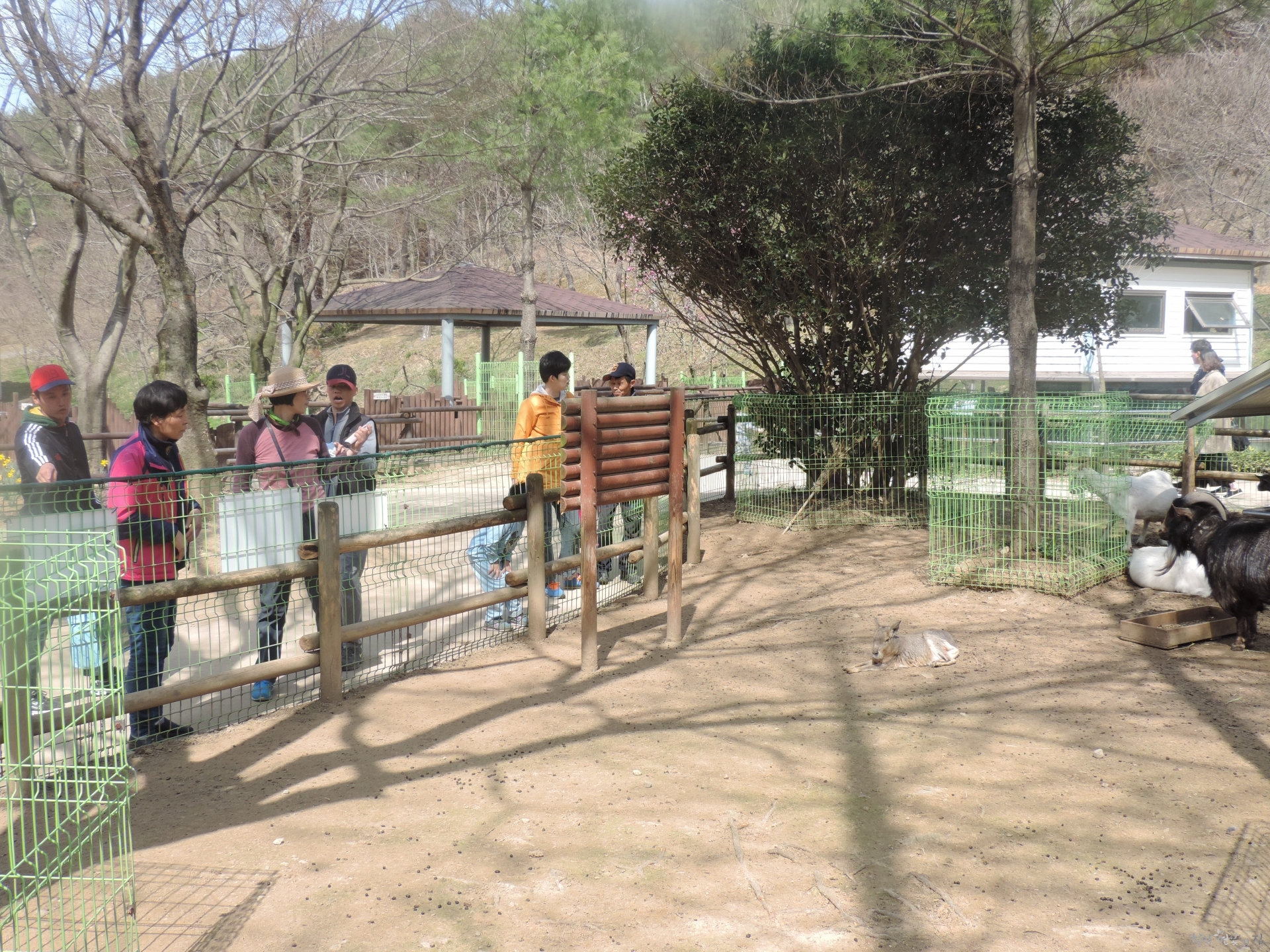 DSCN7227.JPG