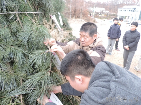 DSCN7226.JPG
