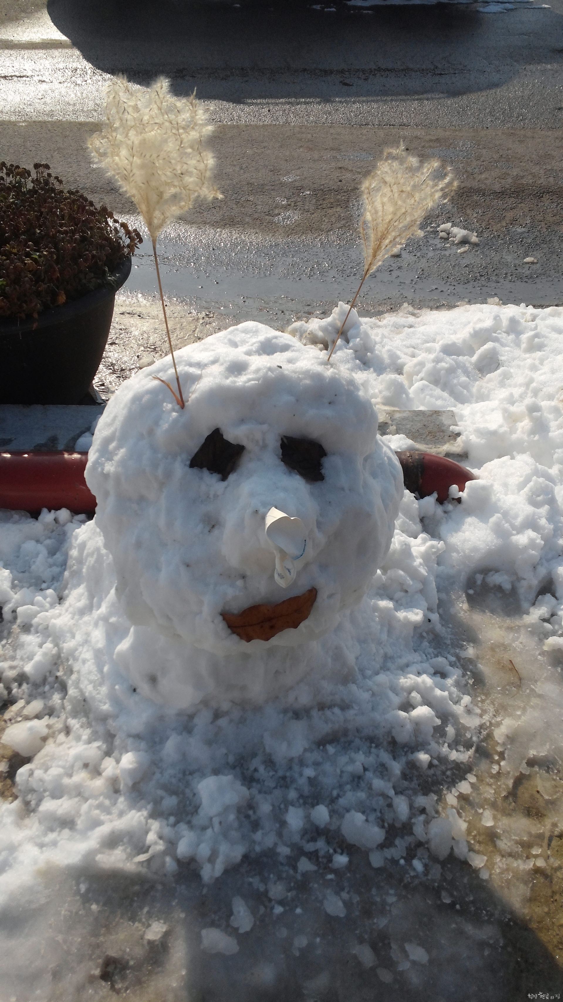 20141208_141433.jpg